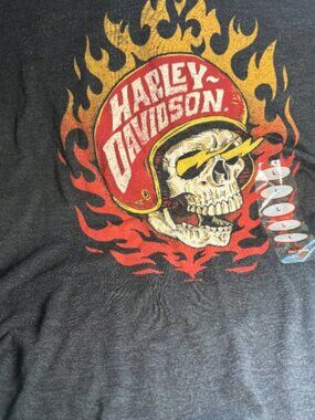 Harley Davidson Southern Tier Binghamton NY size L T-Shirt Flaming Skull Graphic